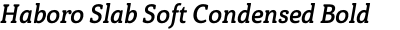 Haboro Slab Soft Condensed Bold Italic